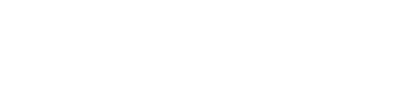 DEMARCHI_LOGO